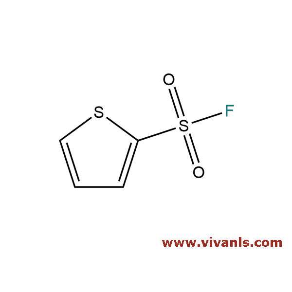 Building Blocks-2-Thiophenesulfonyl fluoride-1655812220.png